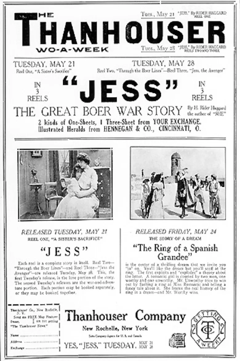 The Ring of a Spanish Grandee poster background