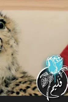 Folaim - Cheetah Wound poster background