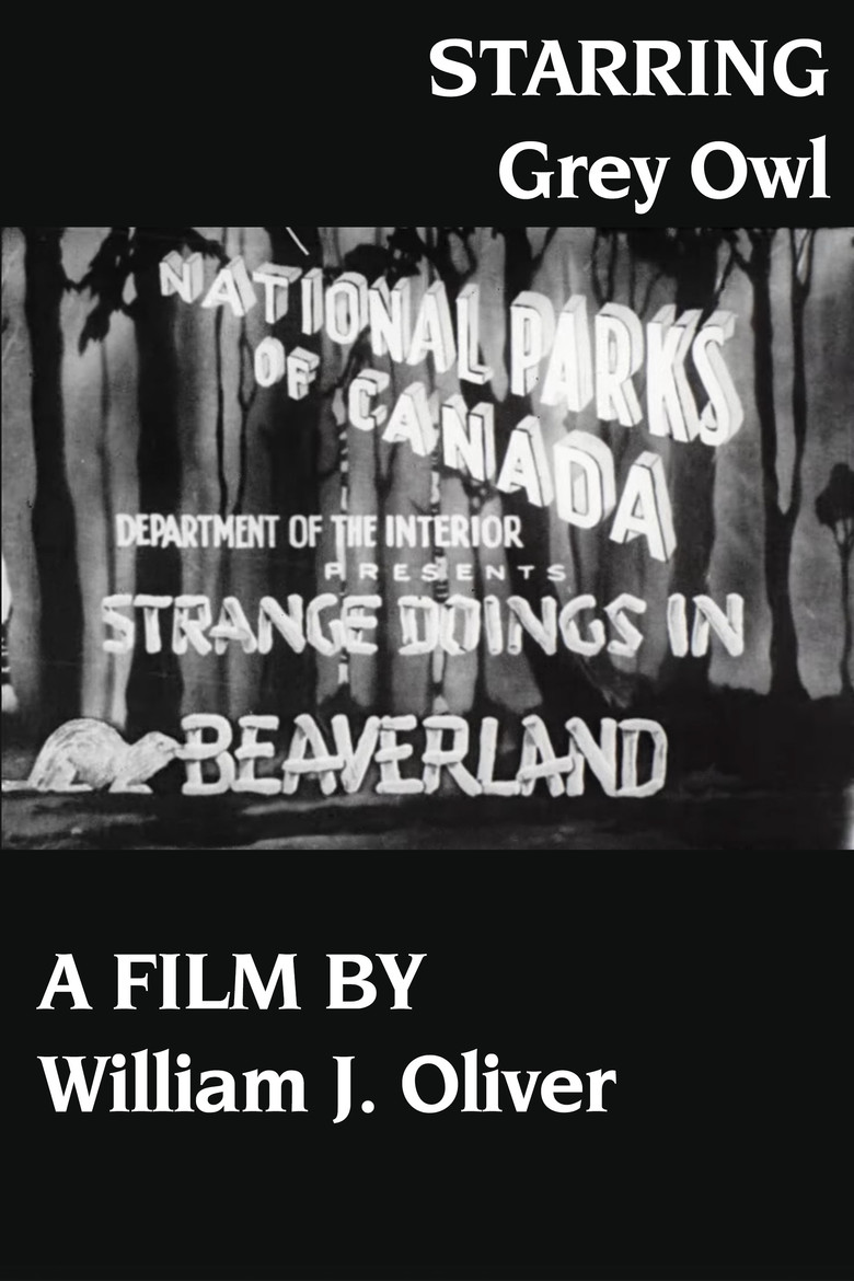 Strange Doings in Beaverland poster background