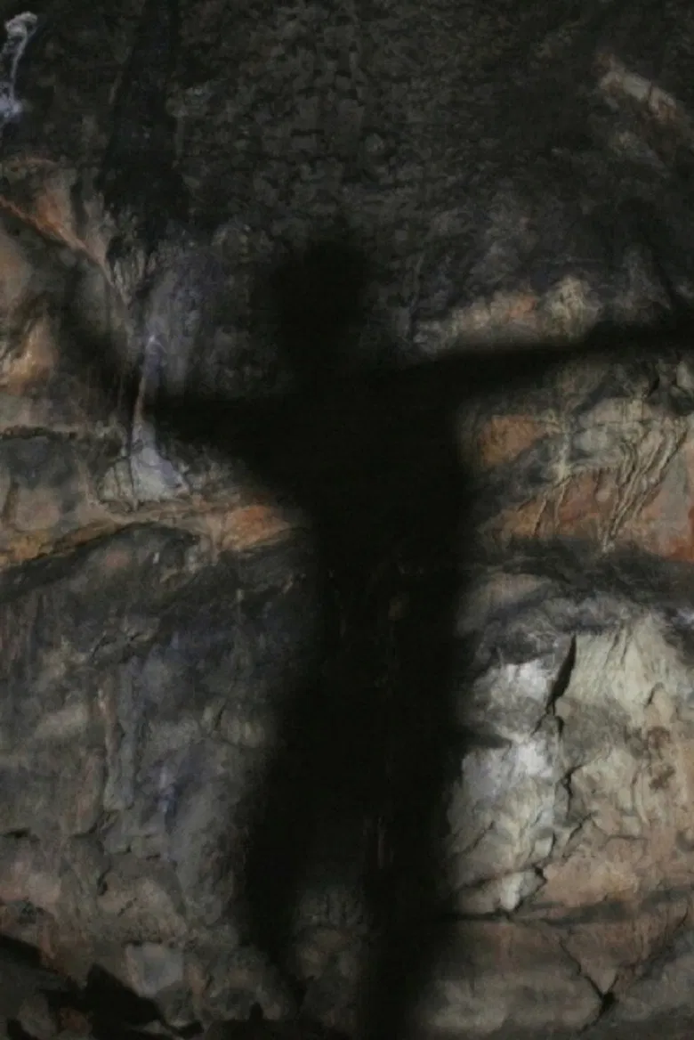 Shulgan-Tach poster background