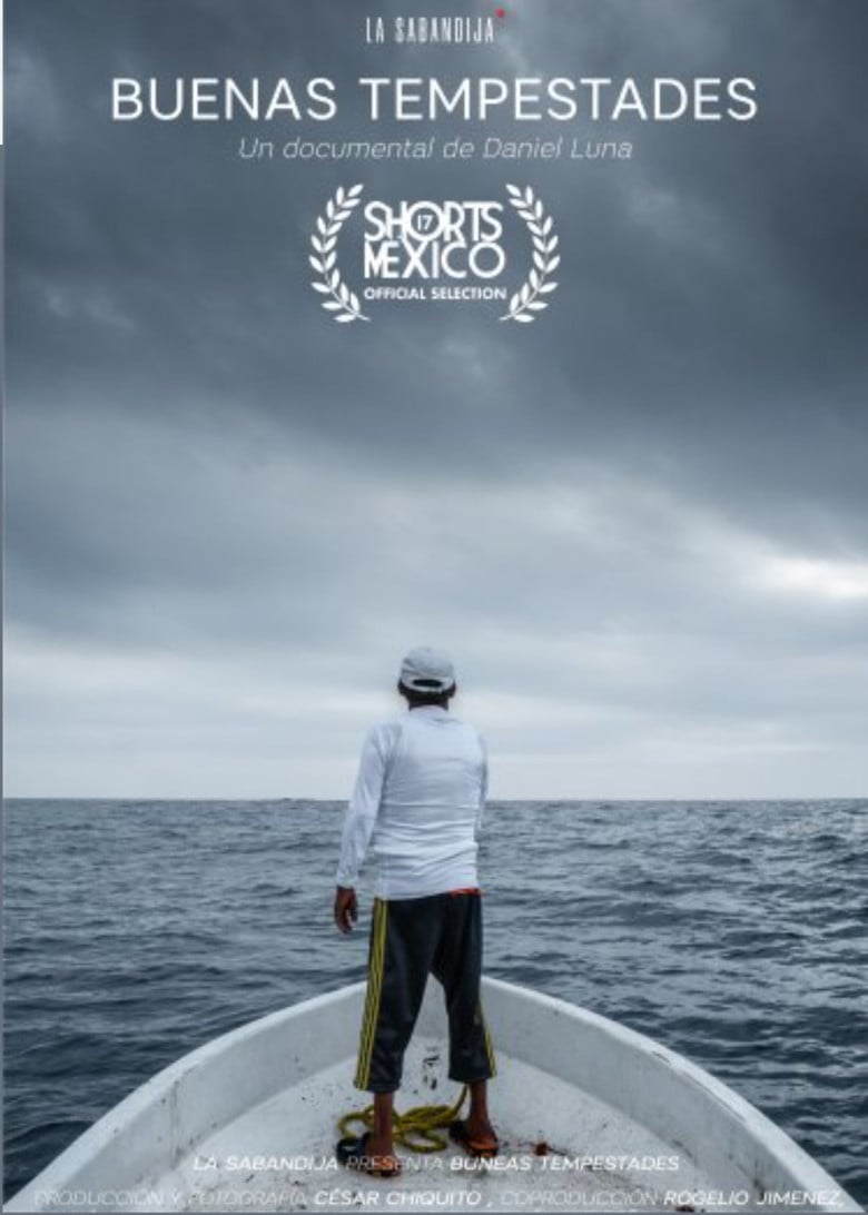 Good Storms poster background