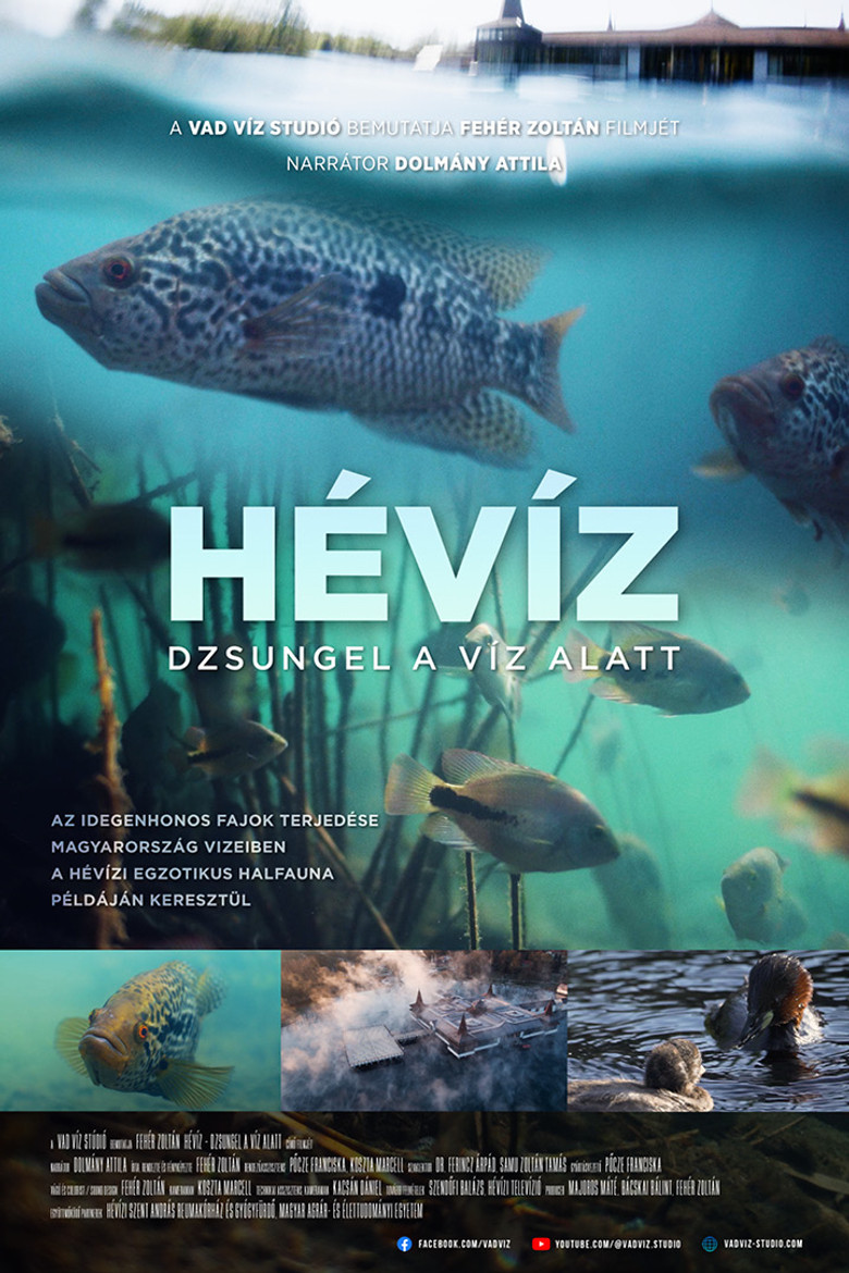 Hévíz − Dzsungel a víz alatt poster background
