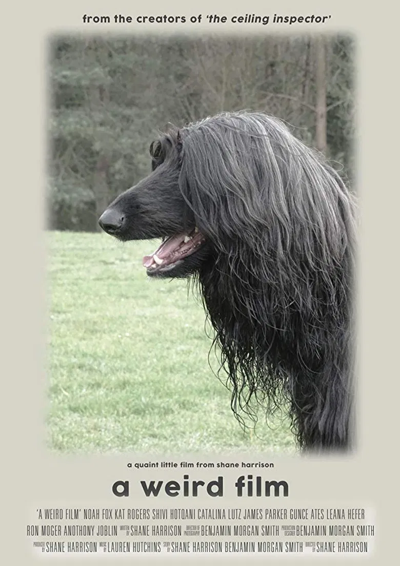 A Weird Film poster background