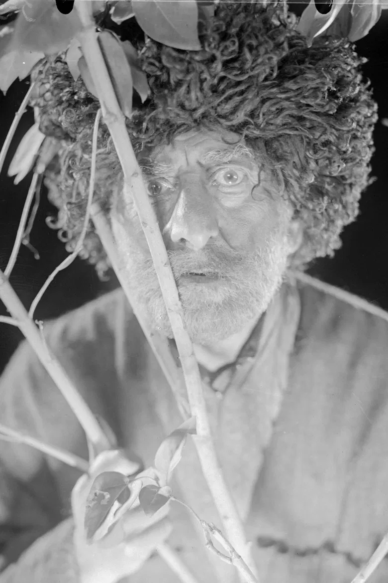 Arshaula poster background