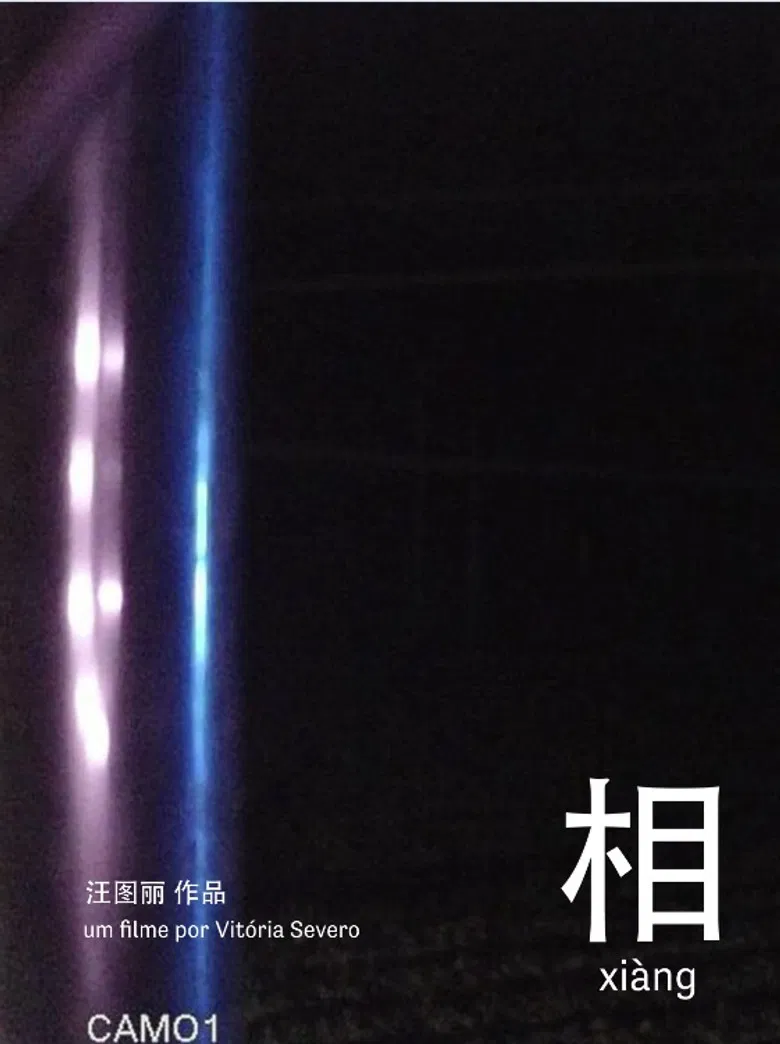 相 xiàng poster background