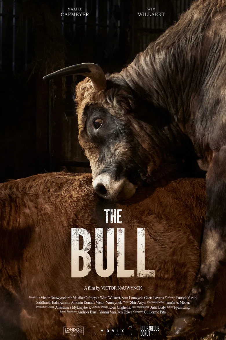 The Bull poster background