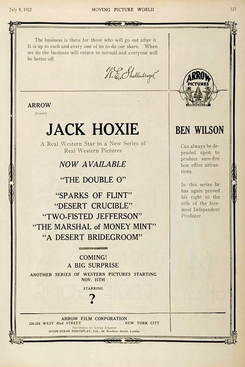 The Marshal of Moneymint poster background