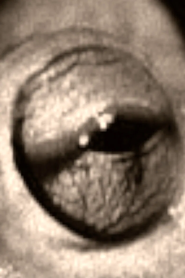 The Scorpion and the Frog poster background