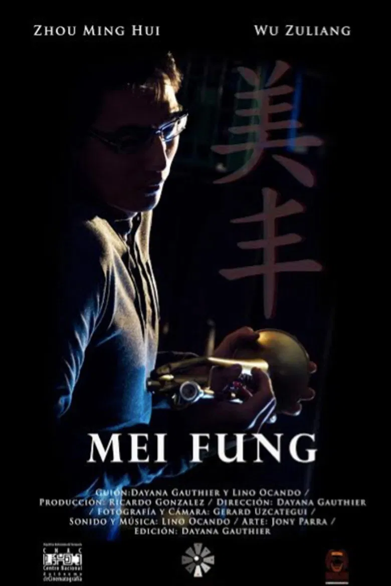 Mei Fung poster background