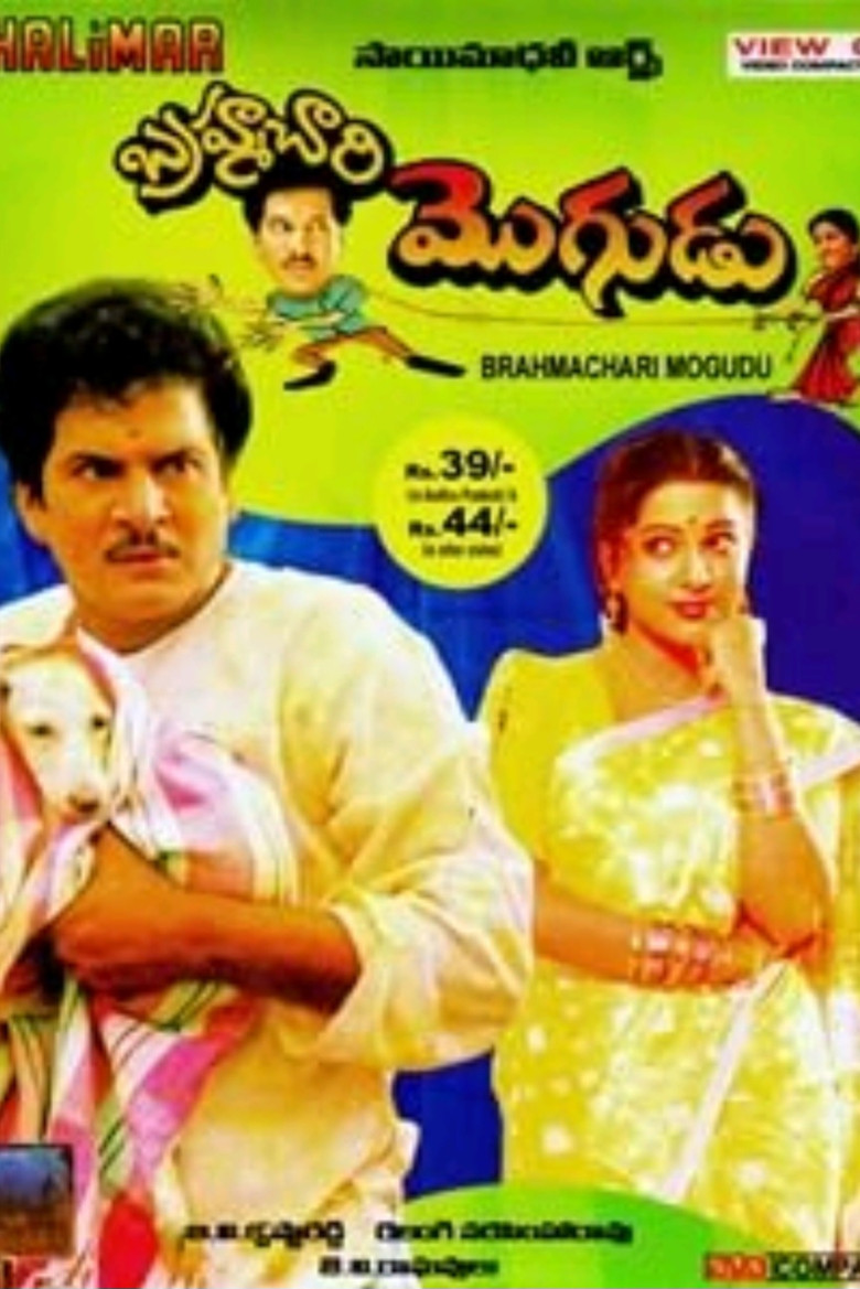 Brahmachari Mogudu poster background