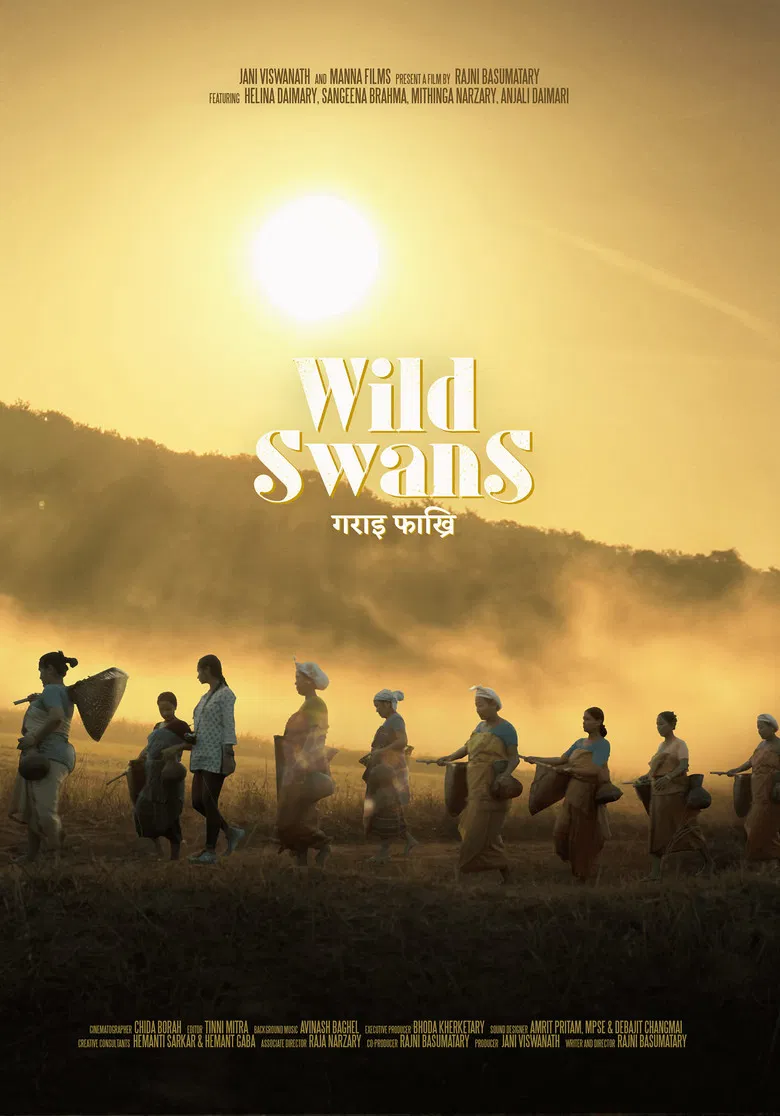 Wild Swans poster background