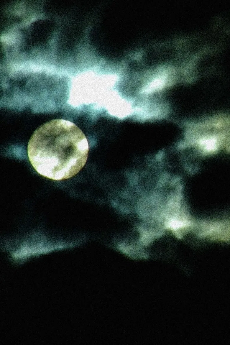 Vampires Drink Blood... I Drink Sorrow poster background