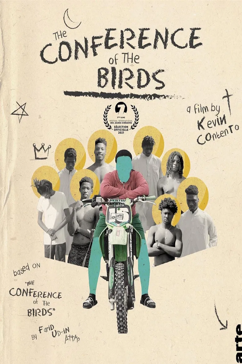 The Conference of the Birds poster background