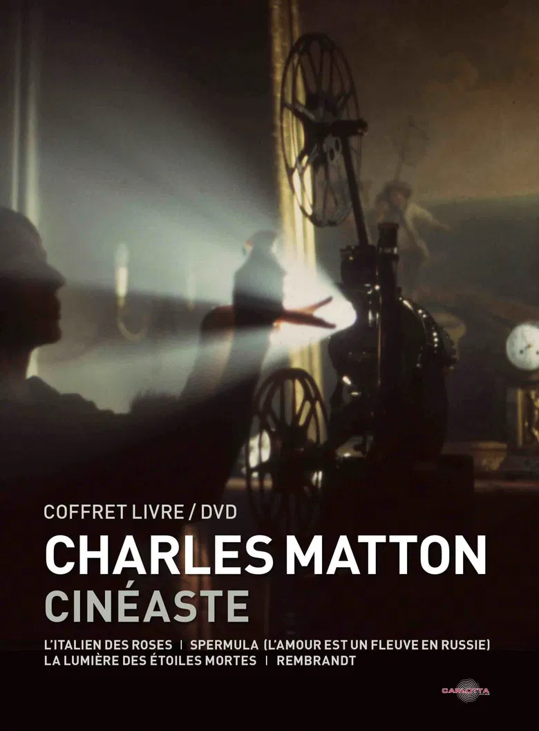 Charles Matton visiblement poster background
