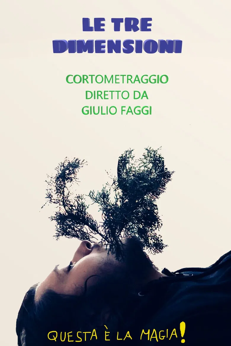 Le tre dimensioni poster background