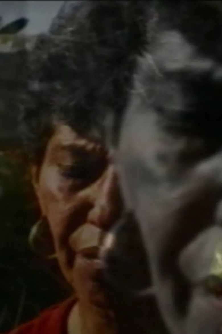 Apprehension poster background