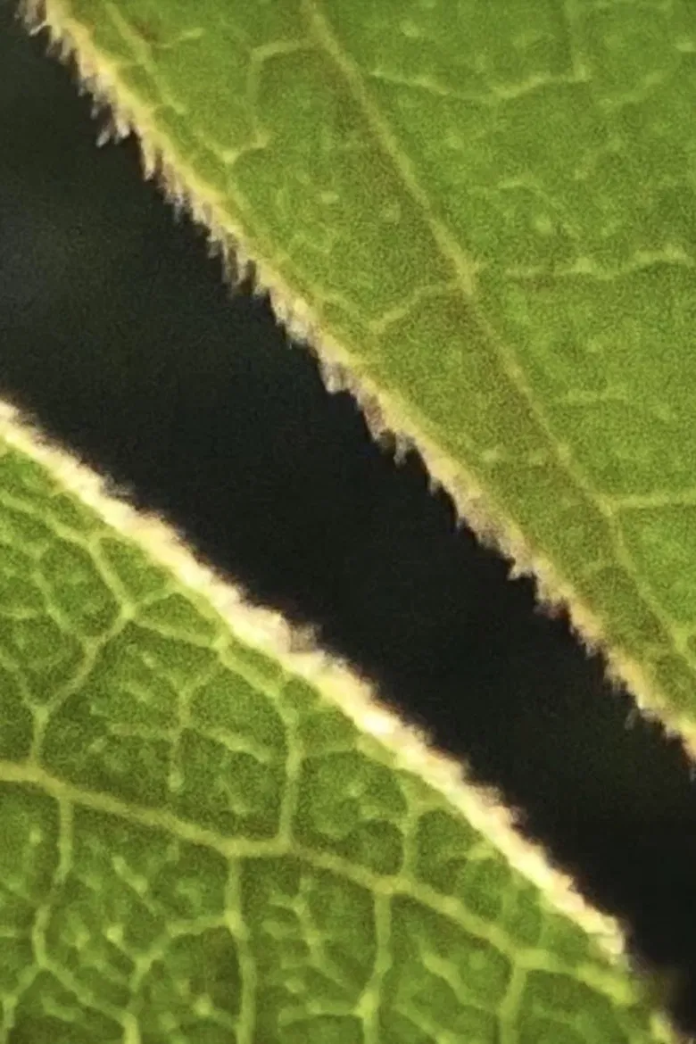 Reel 17 poster background