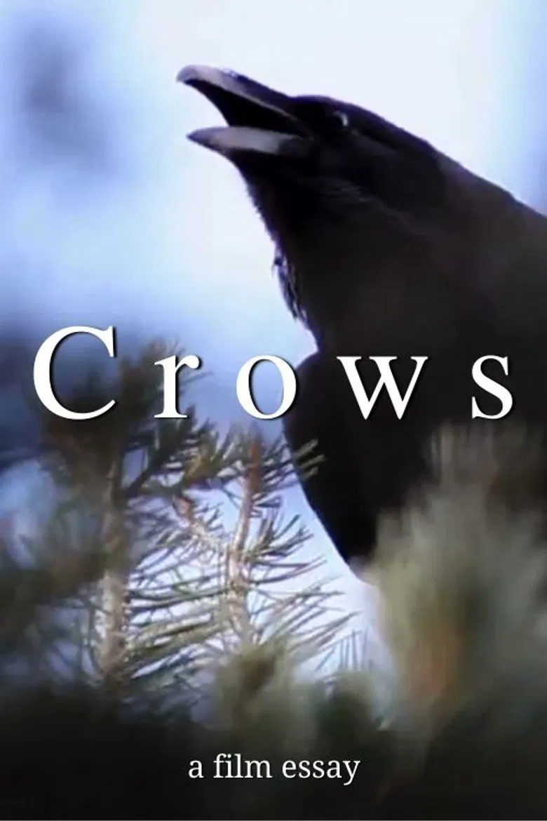 Crows - A film essay poster background