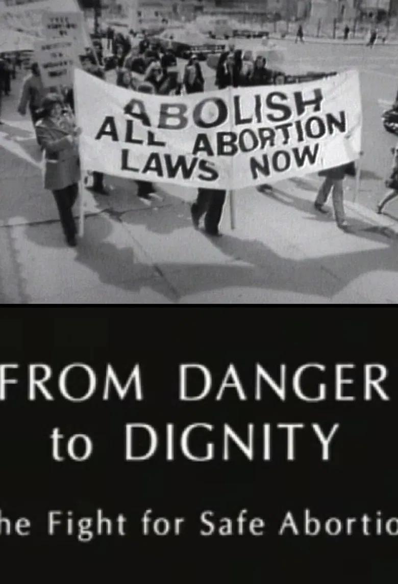 From Danger to Dignity: The Fight For Safe Abortion poster background