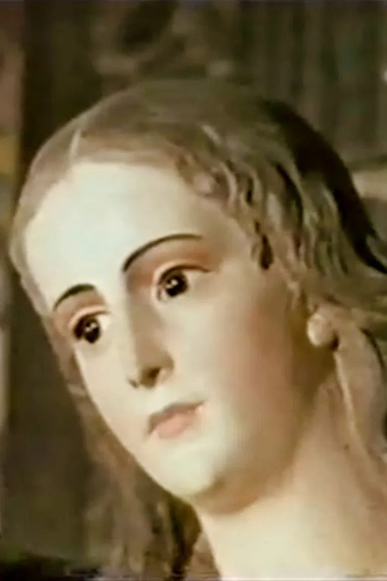 The Shadow of the Templars poster background