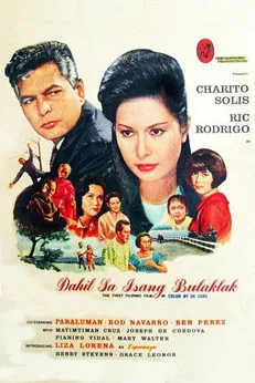 Because of a Flower poster background