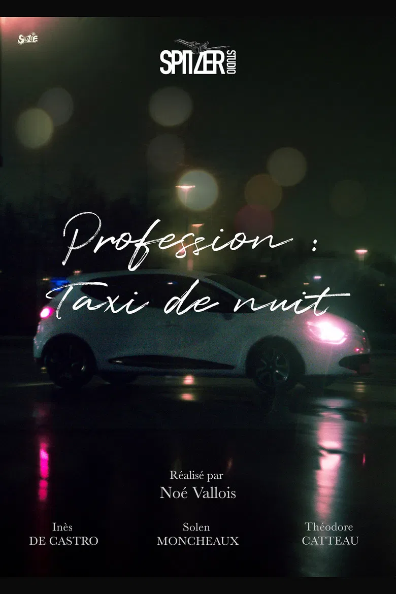Profession : Taxi de nuit poster background