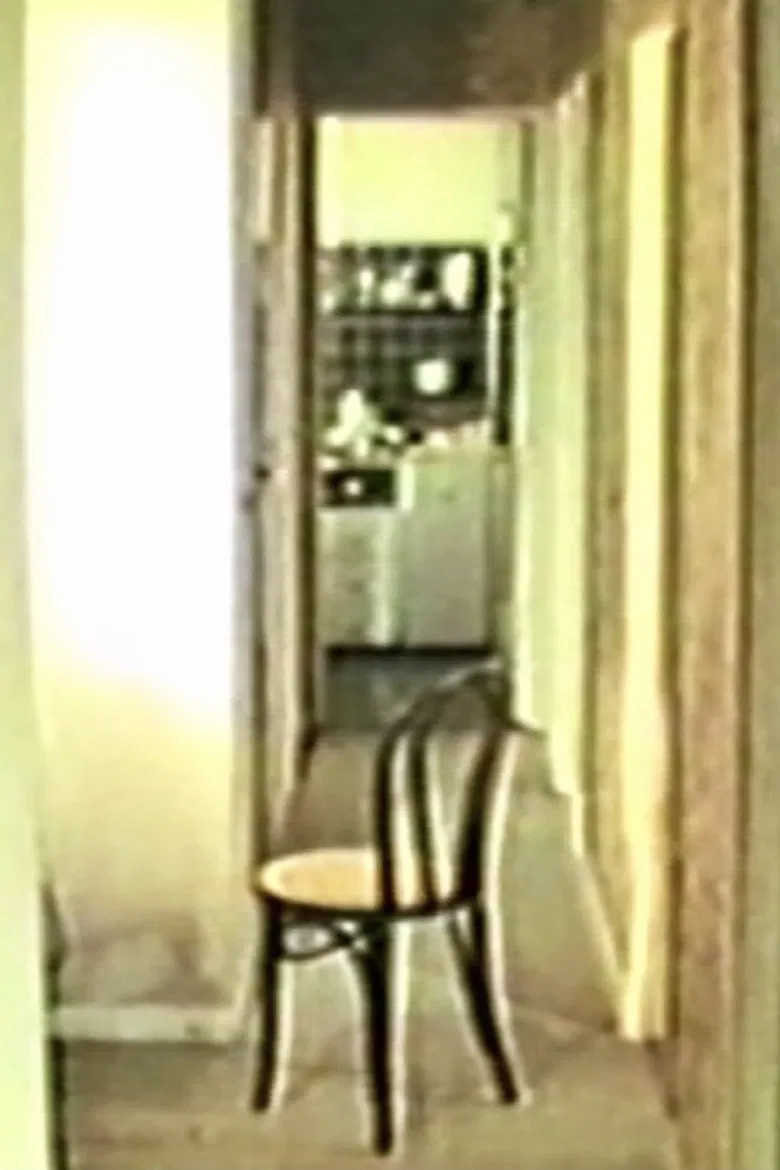 Chaise Plus poster background