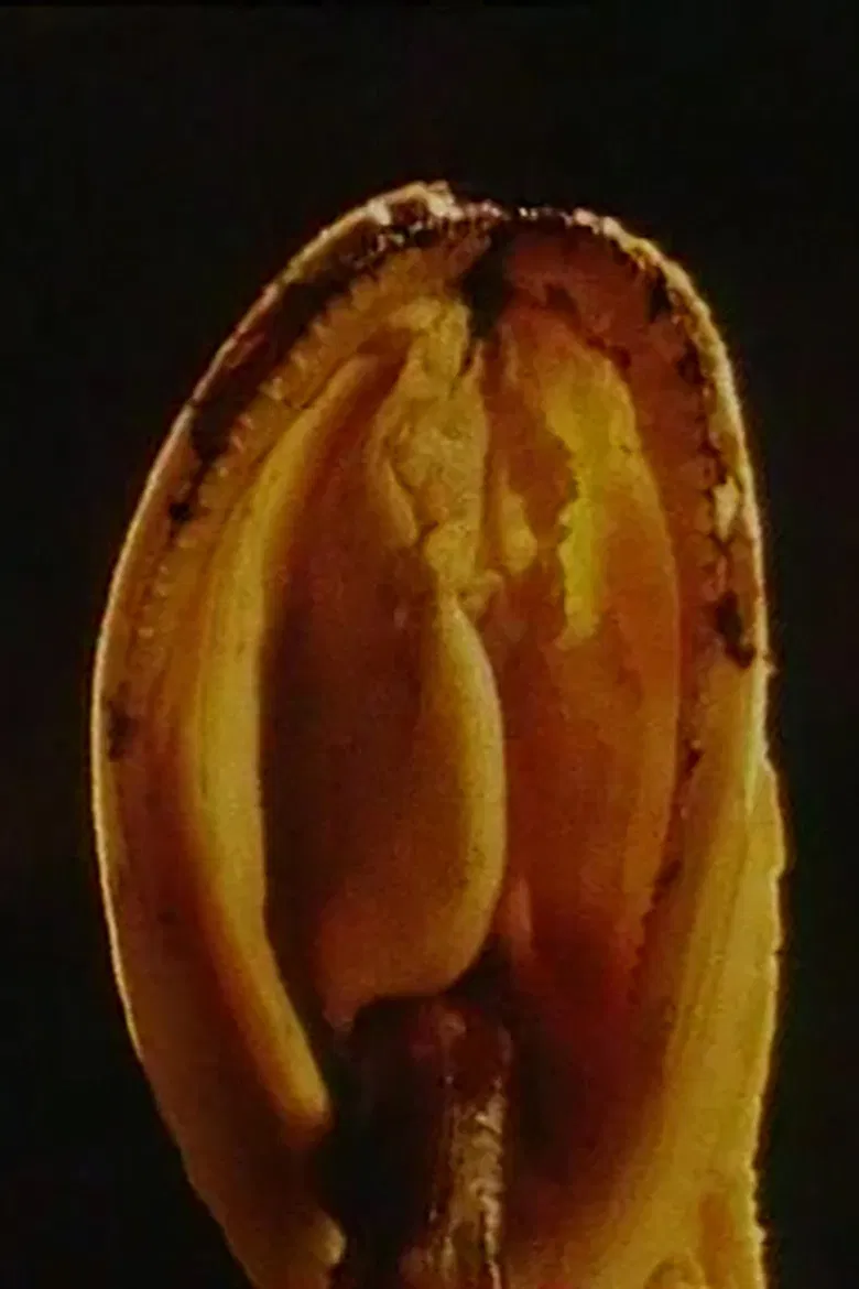 Blue Movie poster background