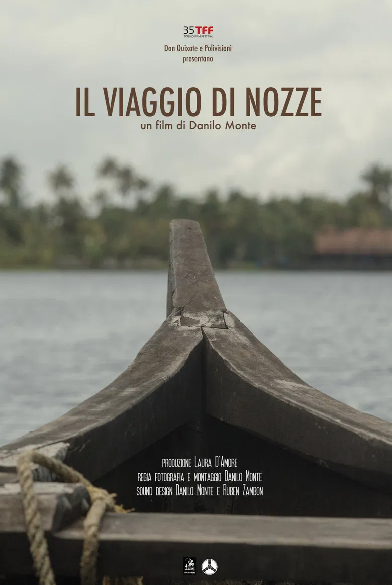 Il viaggio di nozze poster background