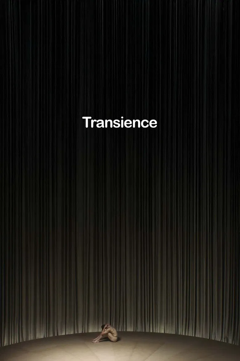 Transience poster background