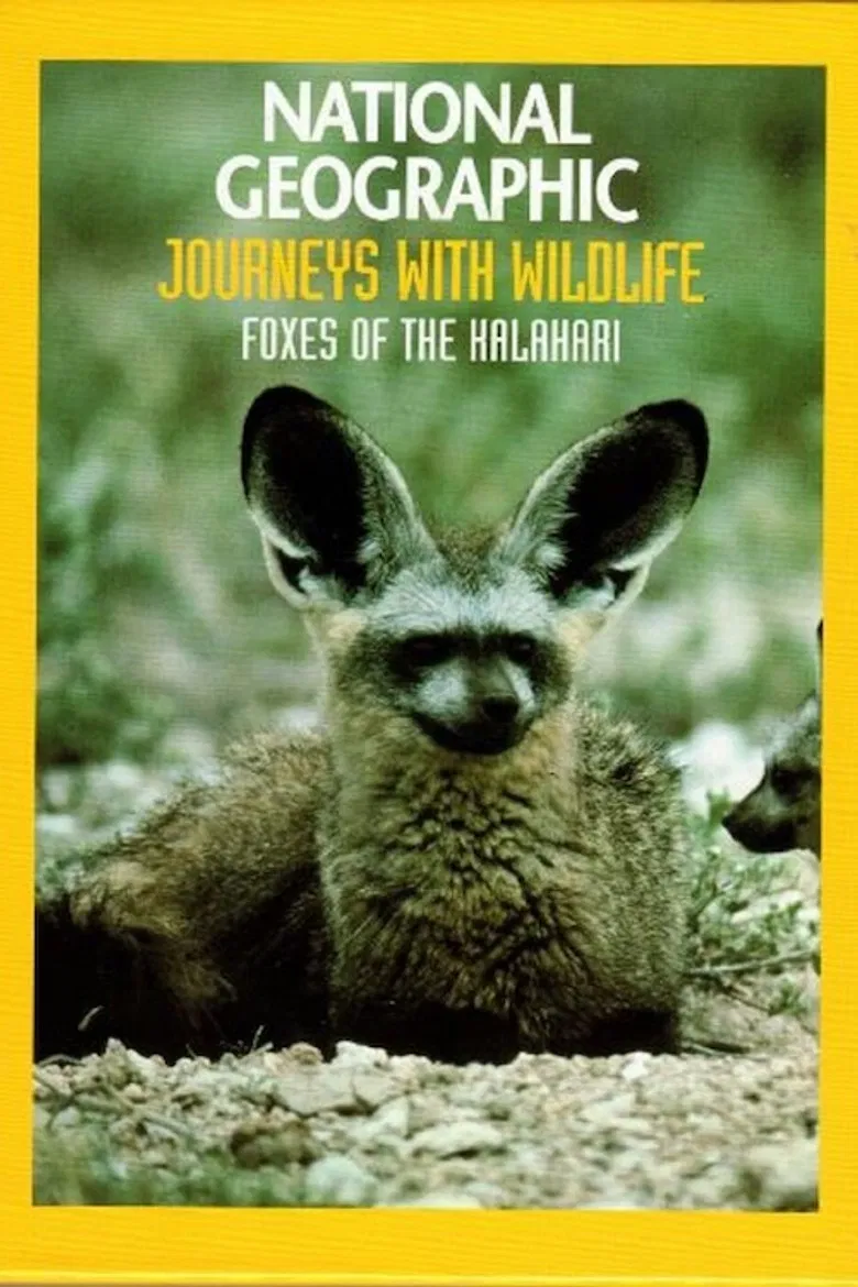 Foxes of the Kalahari poster background