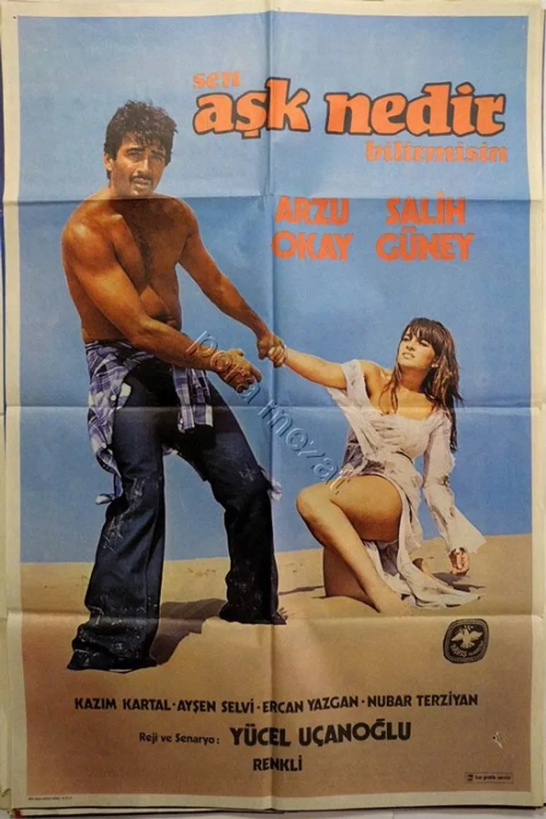 Sen Aşk Nedir Bilir Misin poster background