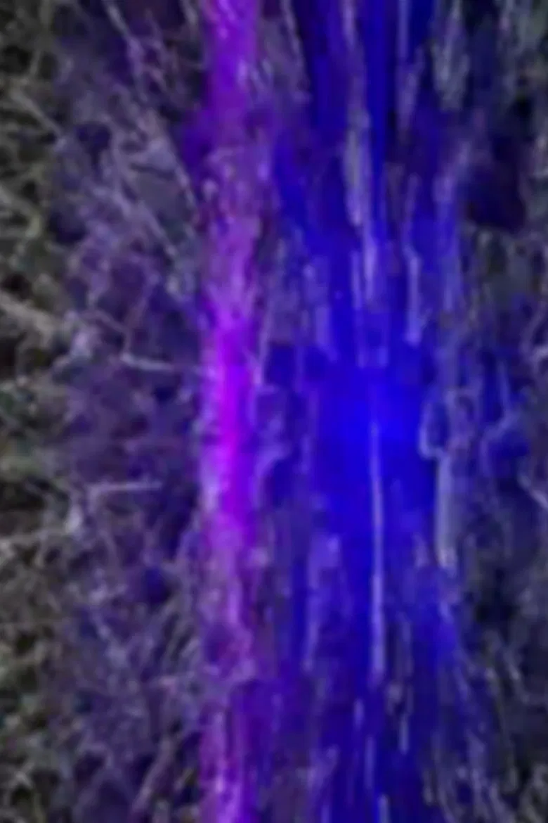 Altaïr Akerman poster background