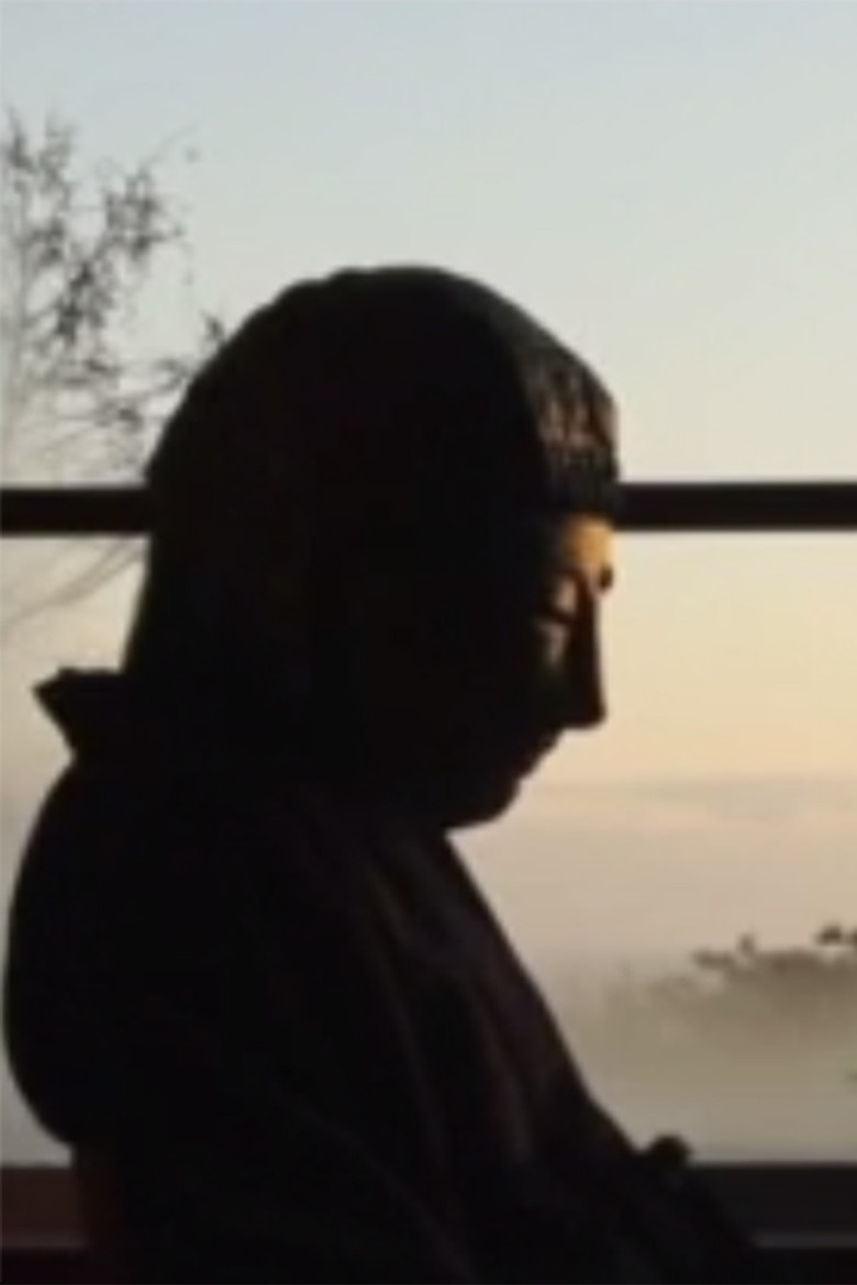 Silent Visitors poster background