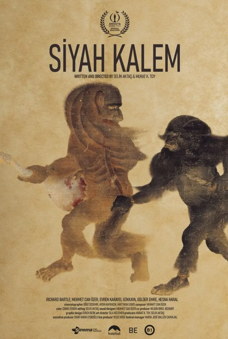 Siyah Kalem poster background
