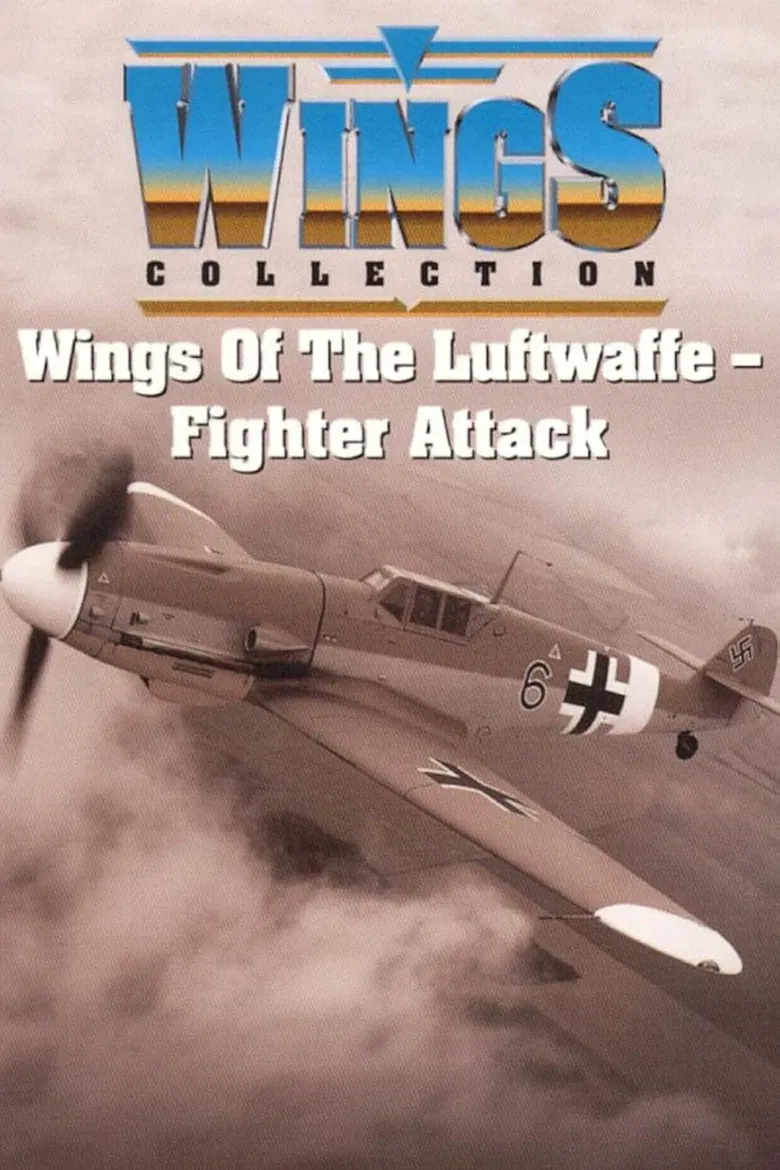 Wings of the Luftwaffe poster background