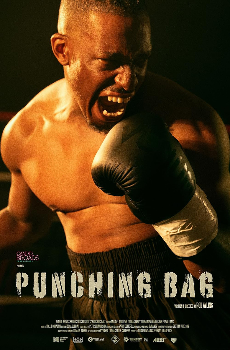 Punching Bag poster background