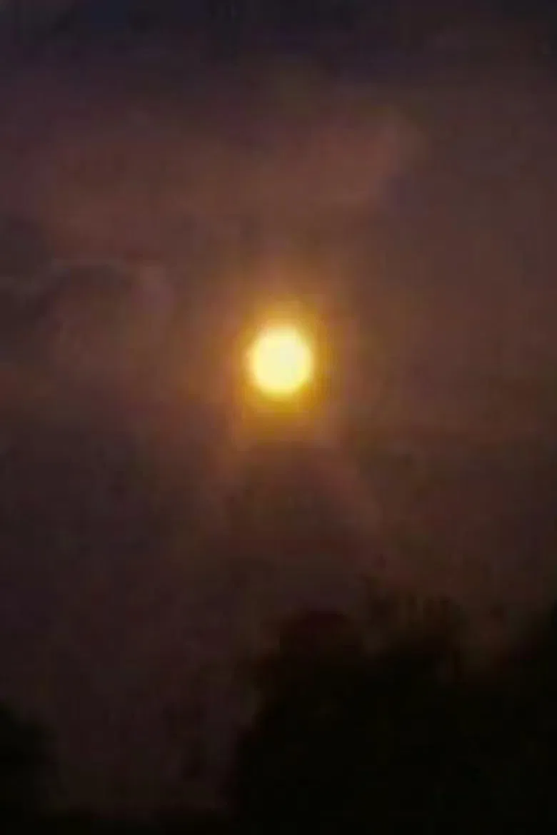 Round Trip poster background