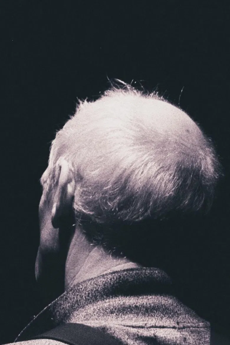 L'étoile Polaire poster background