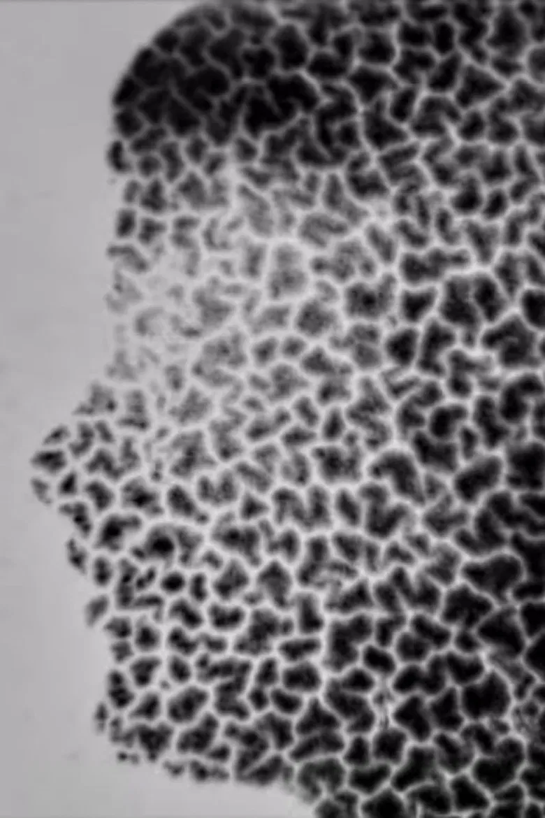 Recomposing Decomposition poster background