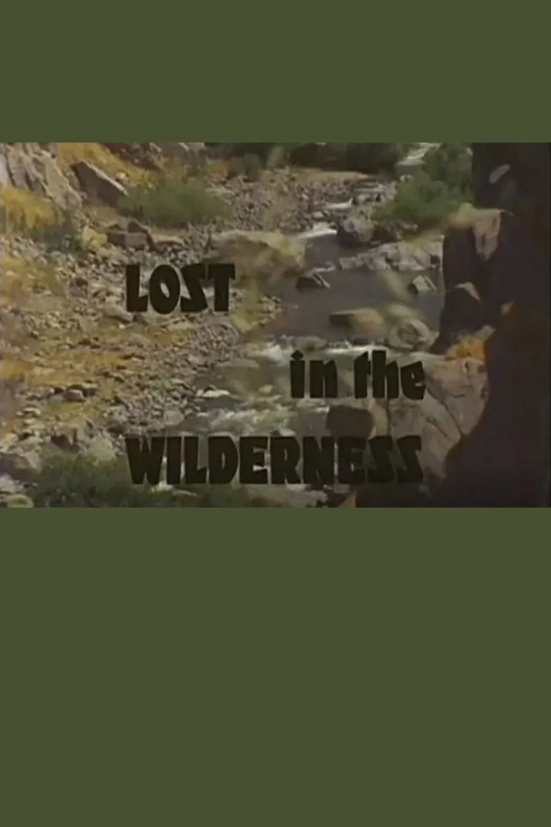 Lost In The Wilderness poster background