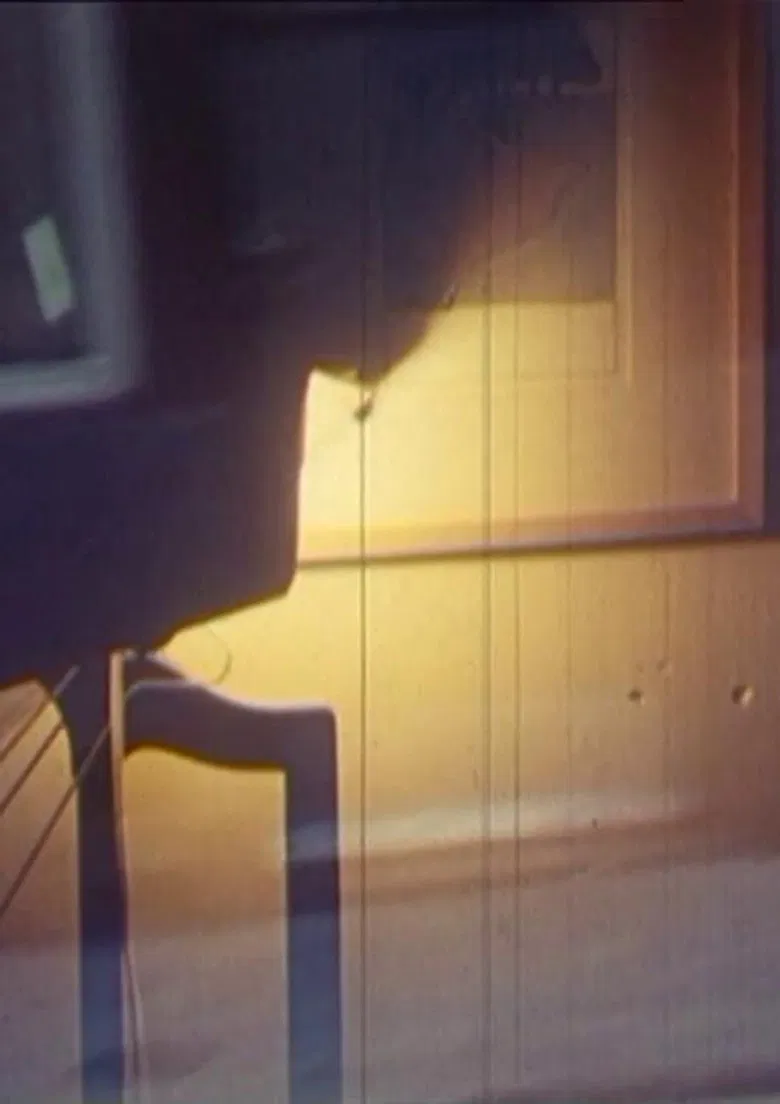 Thaler’s, Meier’s, Sadkowsky’s Life in the Evening poster background