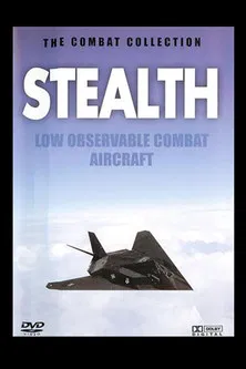 Stealth: Low Observable Combat Aircraft poster background