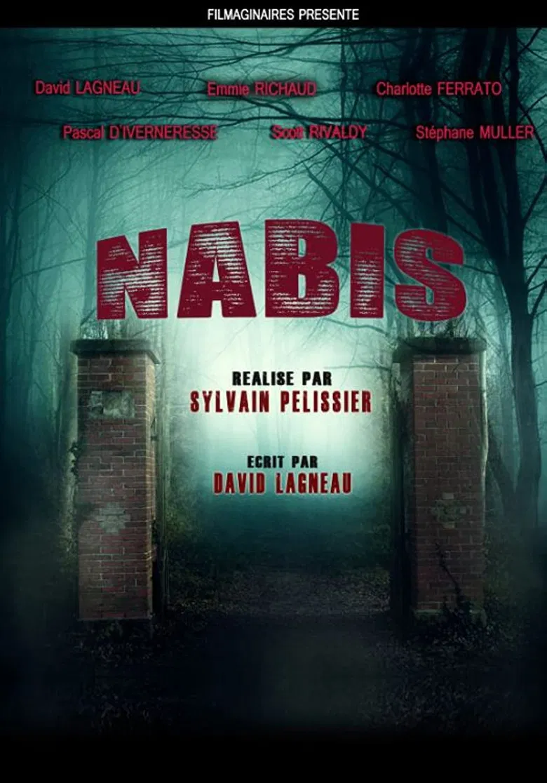 Nabis poster background