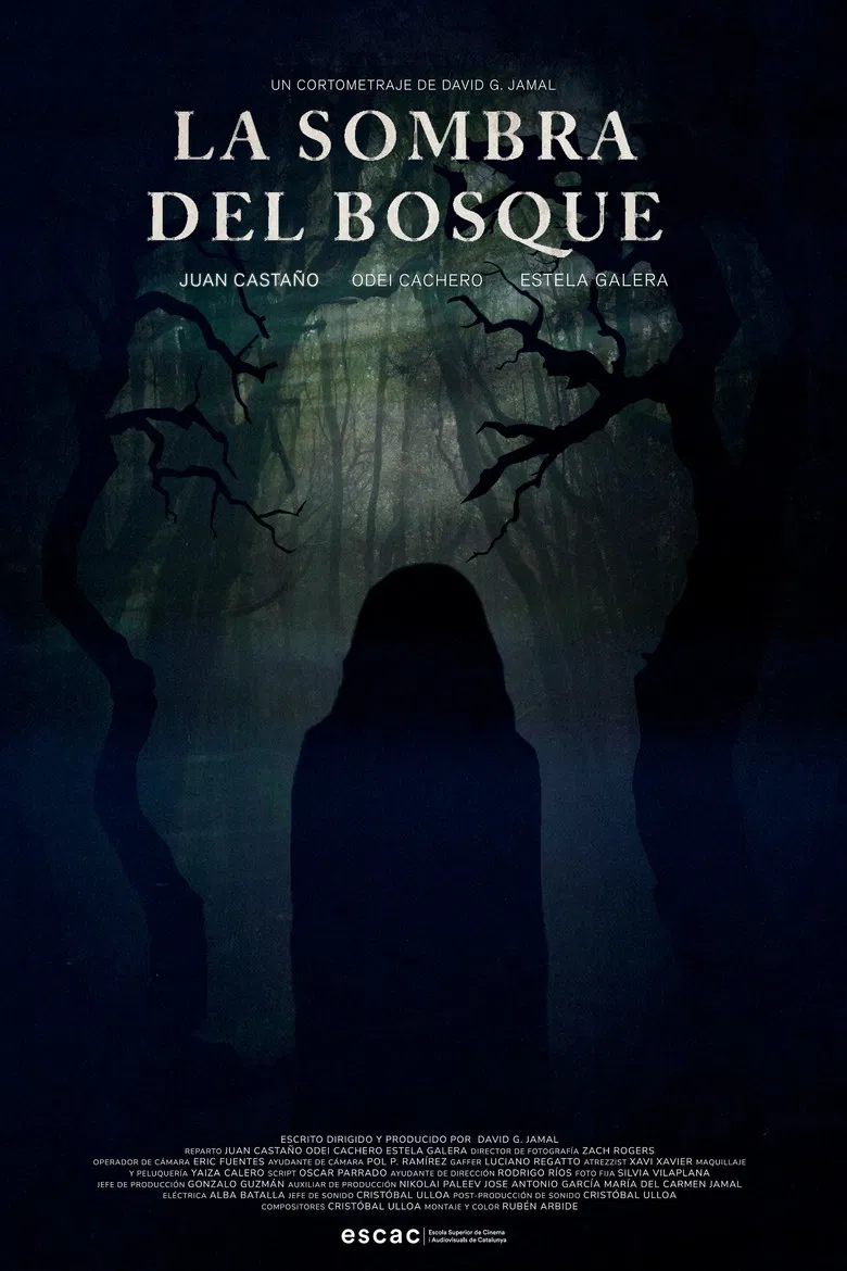 La Sombra del Bosque poster background