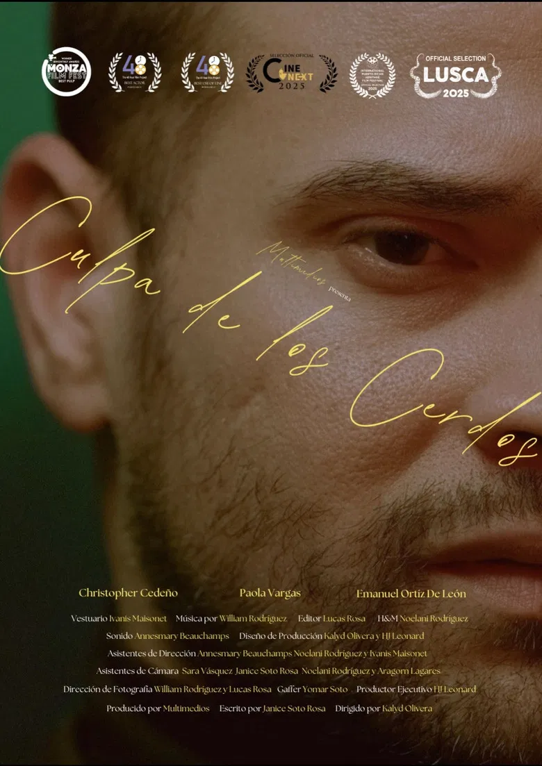 Blame it to the Pigs poster background