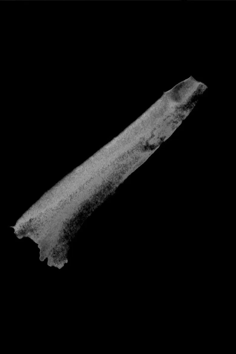 Colmillos poster background