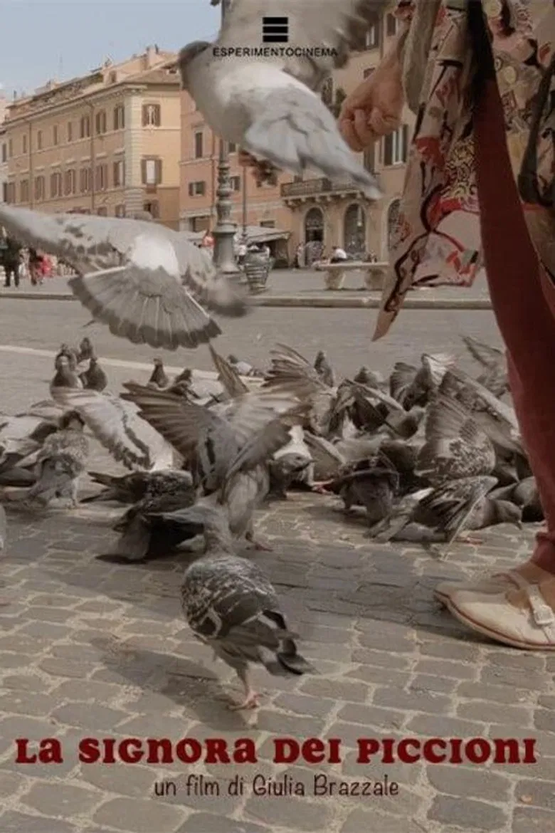 La signora dei piccioni poster background