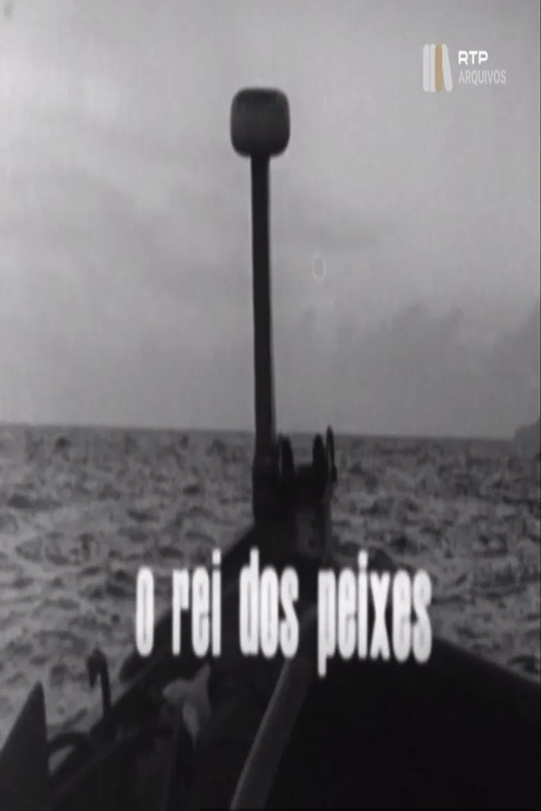 O Rei dos Peixes poster background