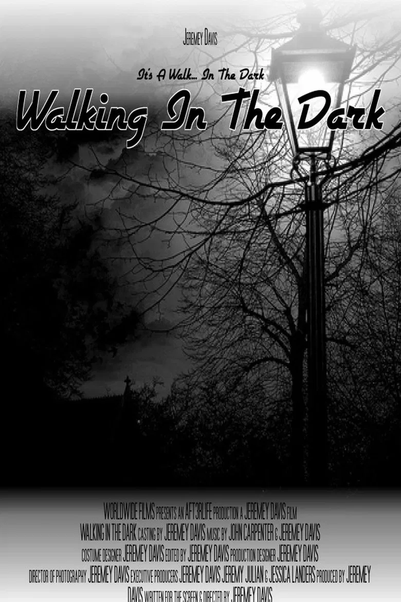 Walking In The Dark poster background